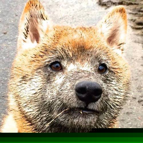 开云首页登录-《CS_GO最激烈决赛，现场血脉喷张》，csgo最盛大的比赛