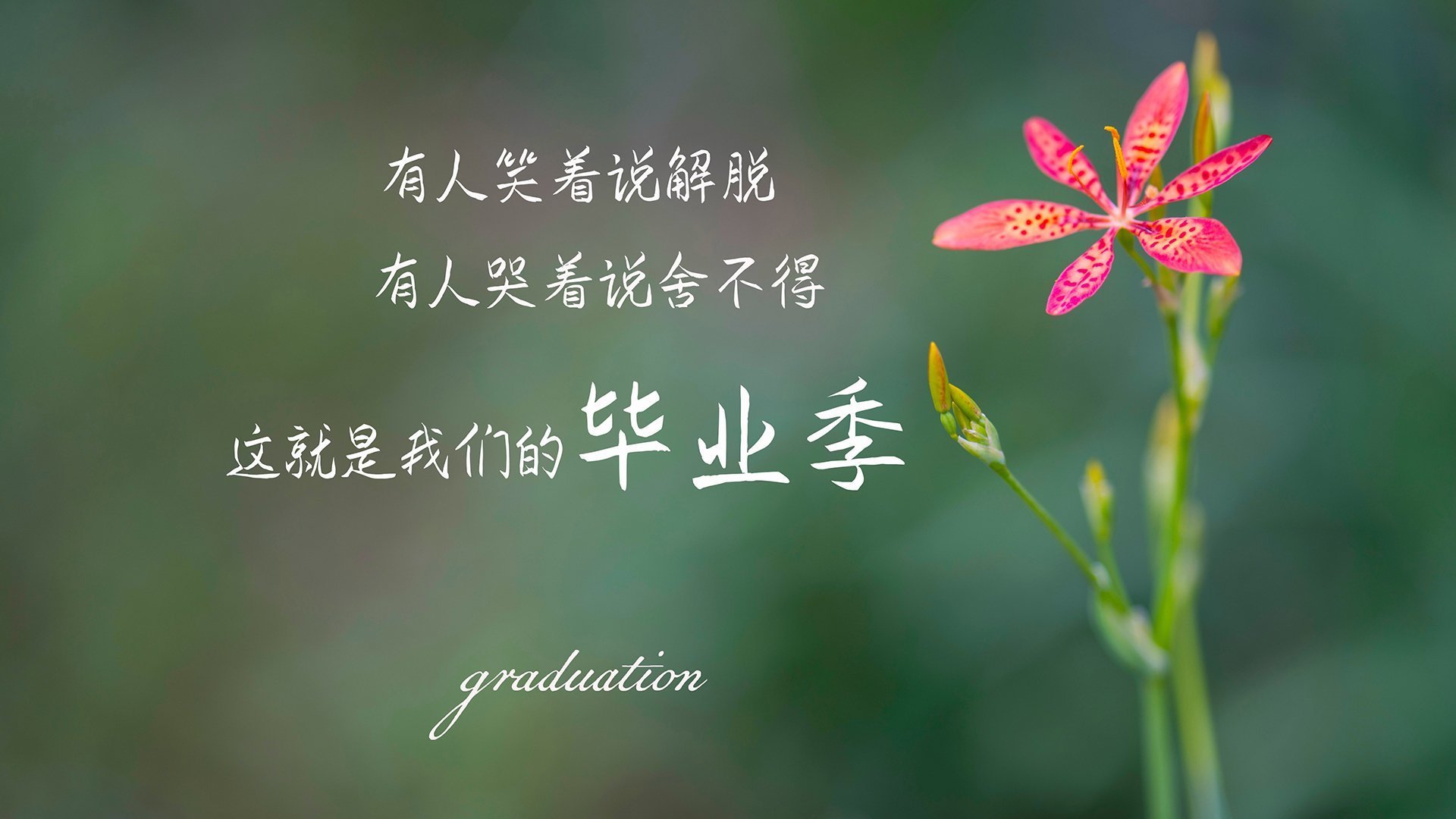 开云·体育全站登录地址-《CS_GO极速对垒，现场气氛火爆点燃》，吃鸡极速对决近战