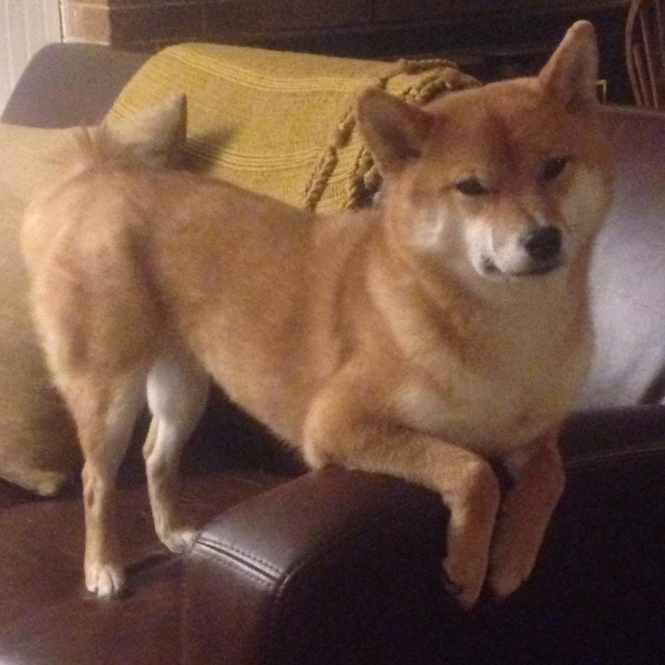 开云首页登录-《星际争霸2》WCS与《魔兽争霸3》黄金联赛的经典回顾，星际争霸2历届wcs冠军