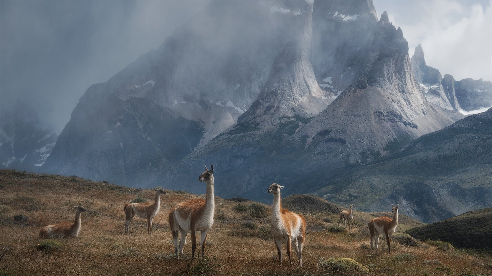 开云下载-意大利女足队员突破重重困难，冲向胜利，意大利足球女球迷