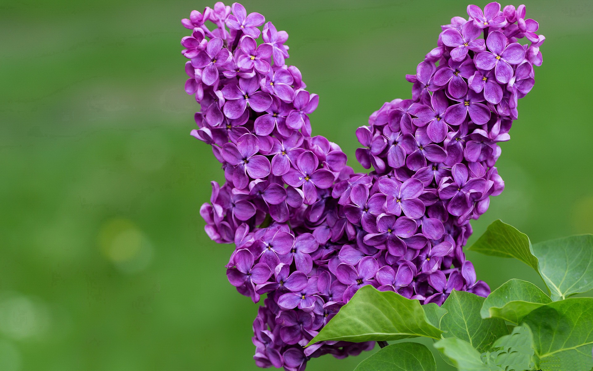 开云kaiyun-球员个人品牌建设是否重要，球星的个人品牌