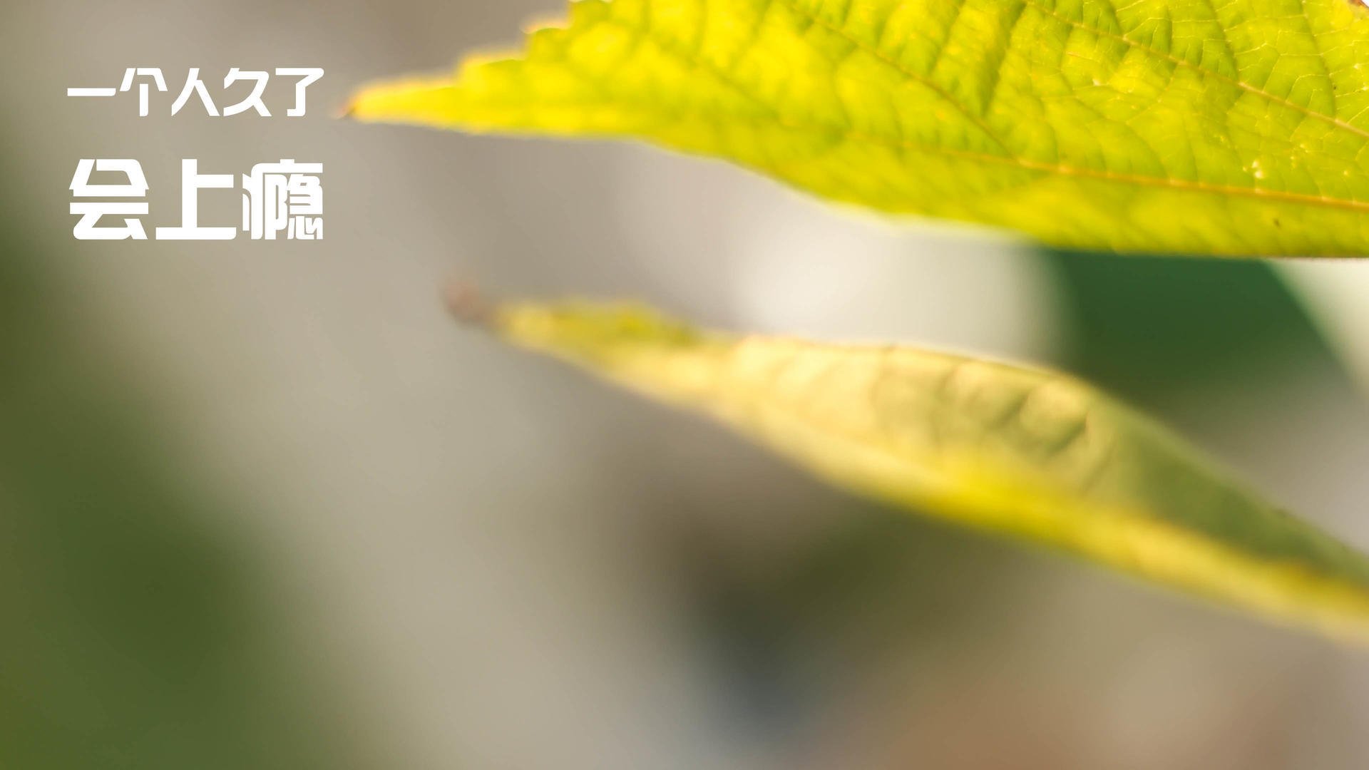 kaiyun-中超球员伤病管理流程全面更新，中超联赛球员数据