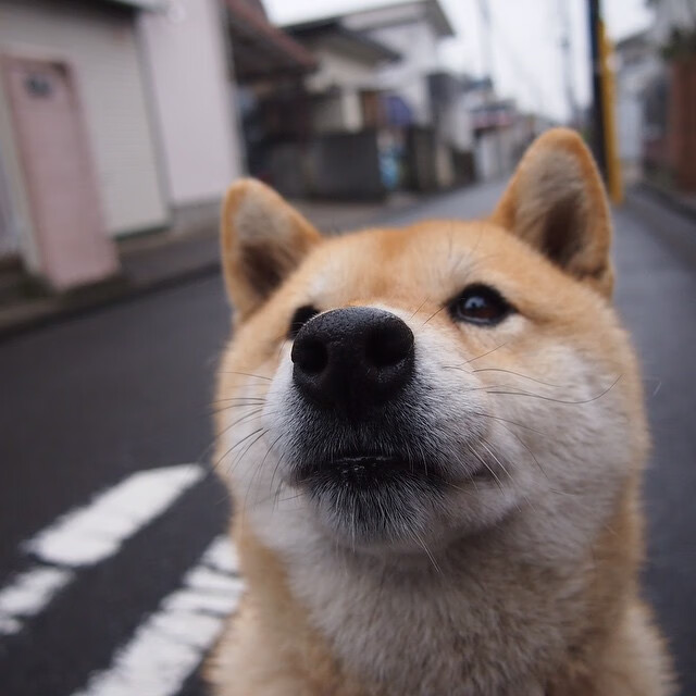 kaiyun 开云体育-利物浦经典高压再次上演，利物浦right to play